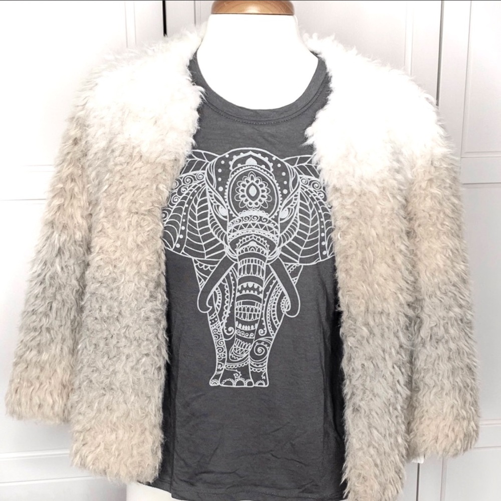 Faux Fur Fuzzy Ombré Jacket